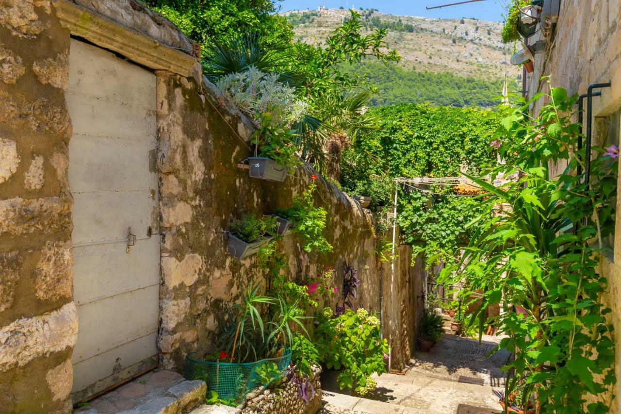 Old Town House With Floor Heating & Lush Private Garden Villa Dubrovnik Eksteriør billede