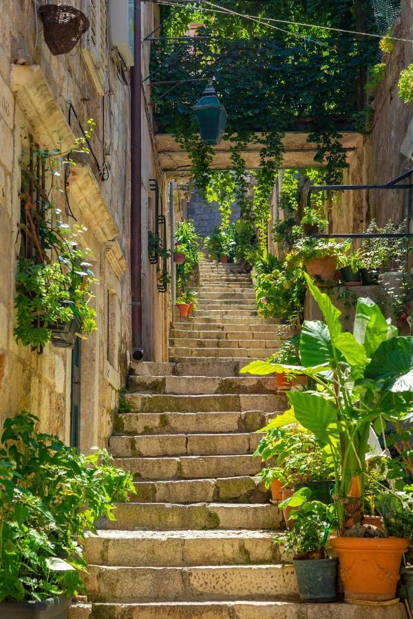 Old Town House With Floor Heating & Lush Private Garden Villa Dubrovnik Eksteriør billede